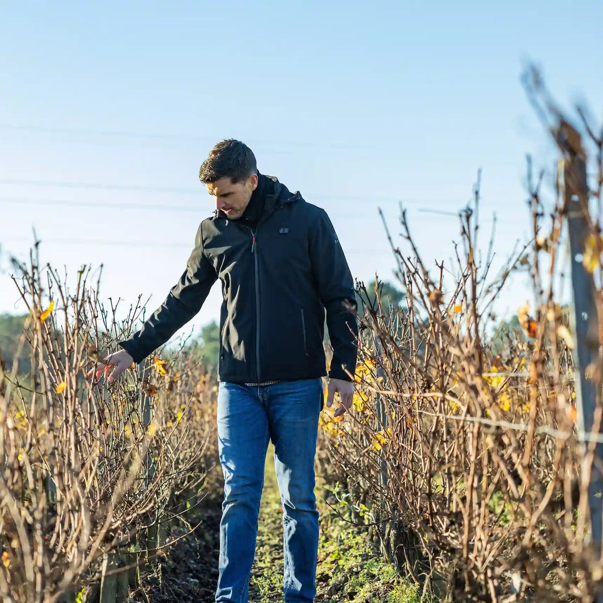 veste softshell chauffante