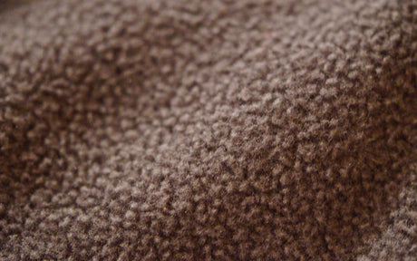 Comment Reconnaître une Bonne Polaire